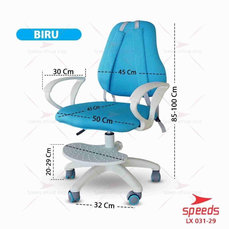 031-29-BIRU
