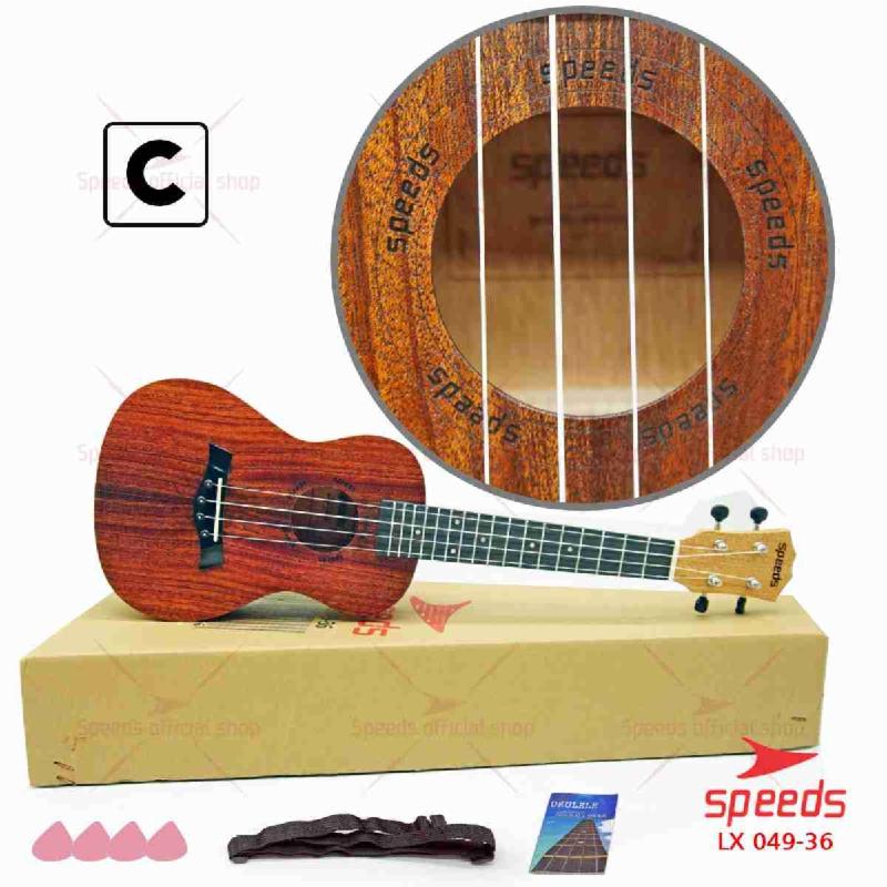 049-36-MOTIF-C